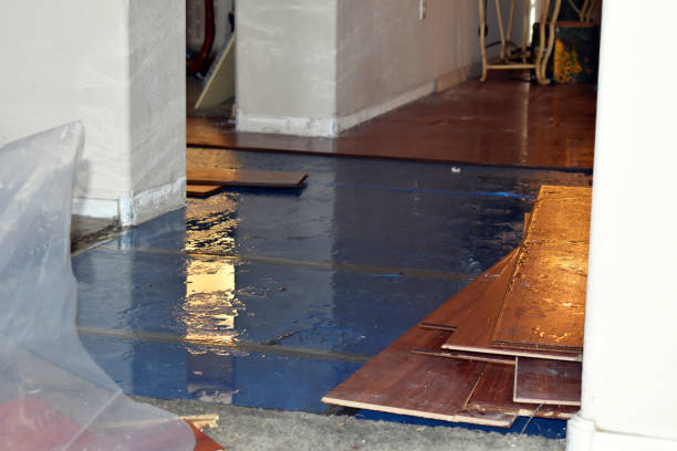 Professional Basement Water Removal technician working in Redding, CA